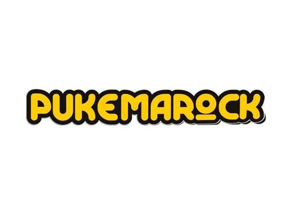 Referenties Festivals & Evenementen Pukemarock